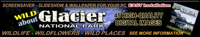 Wild About Glacier - Screensaver, Slideshow & Wallpaper CD