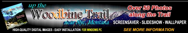 Up the Woodbine Trail - Screensaver, Slideshow & Wallpaper CD